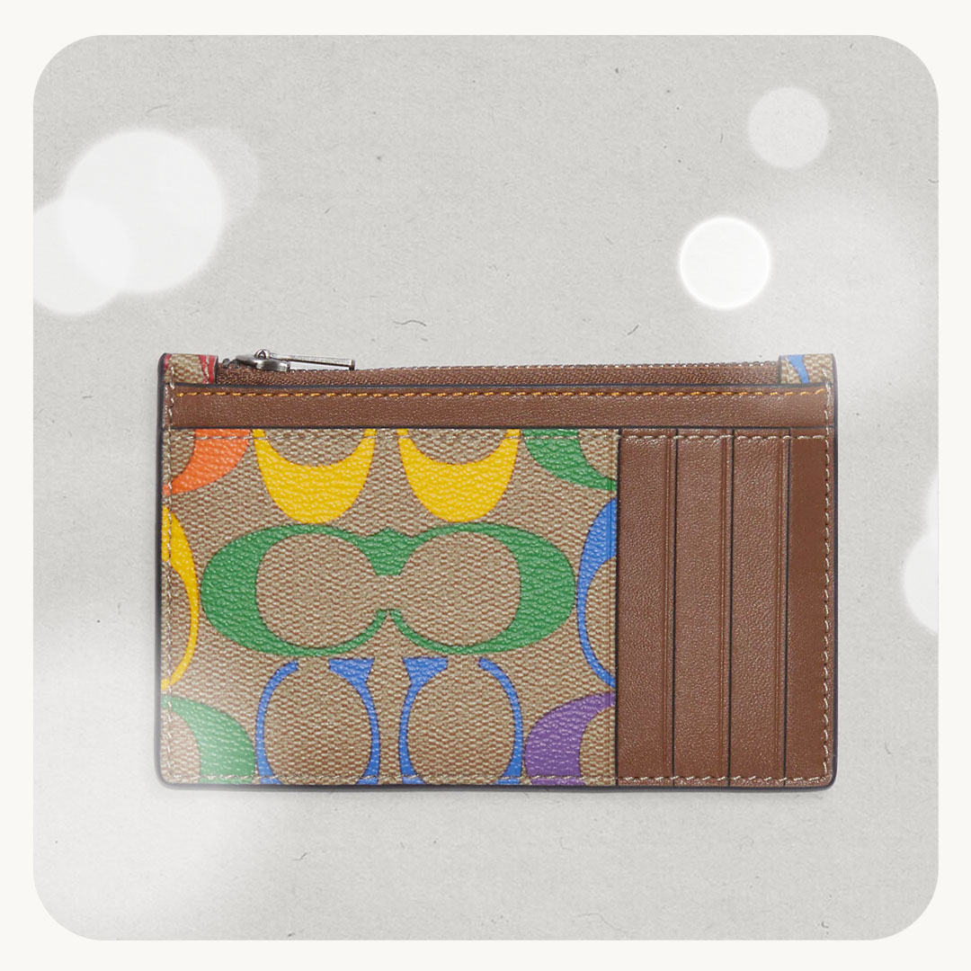 Rainbow Coach Card Case