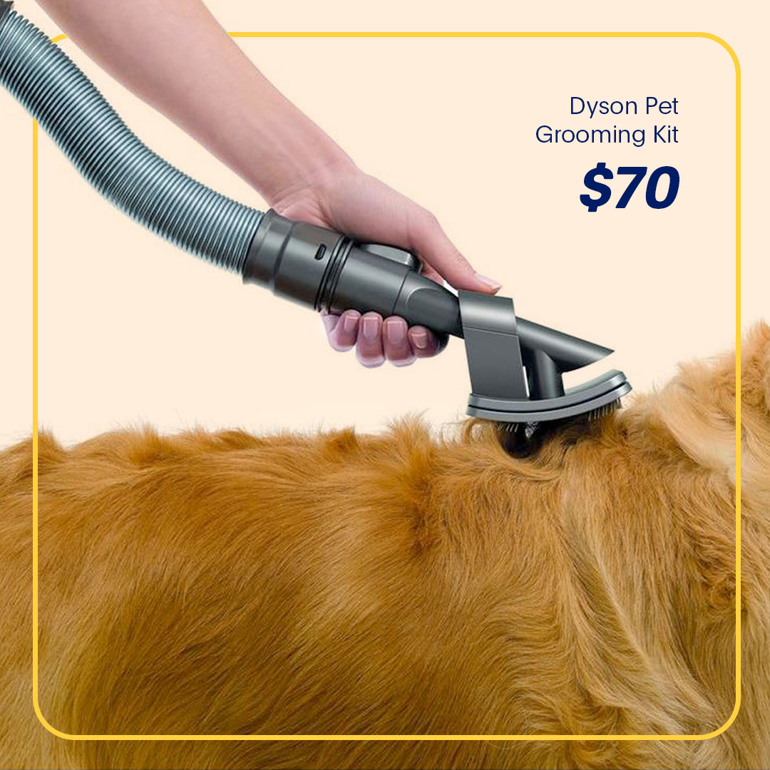 Dyson Pet Grooming Kit